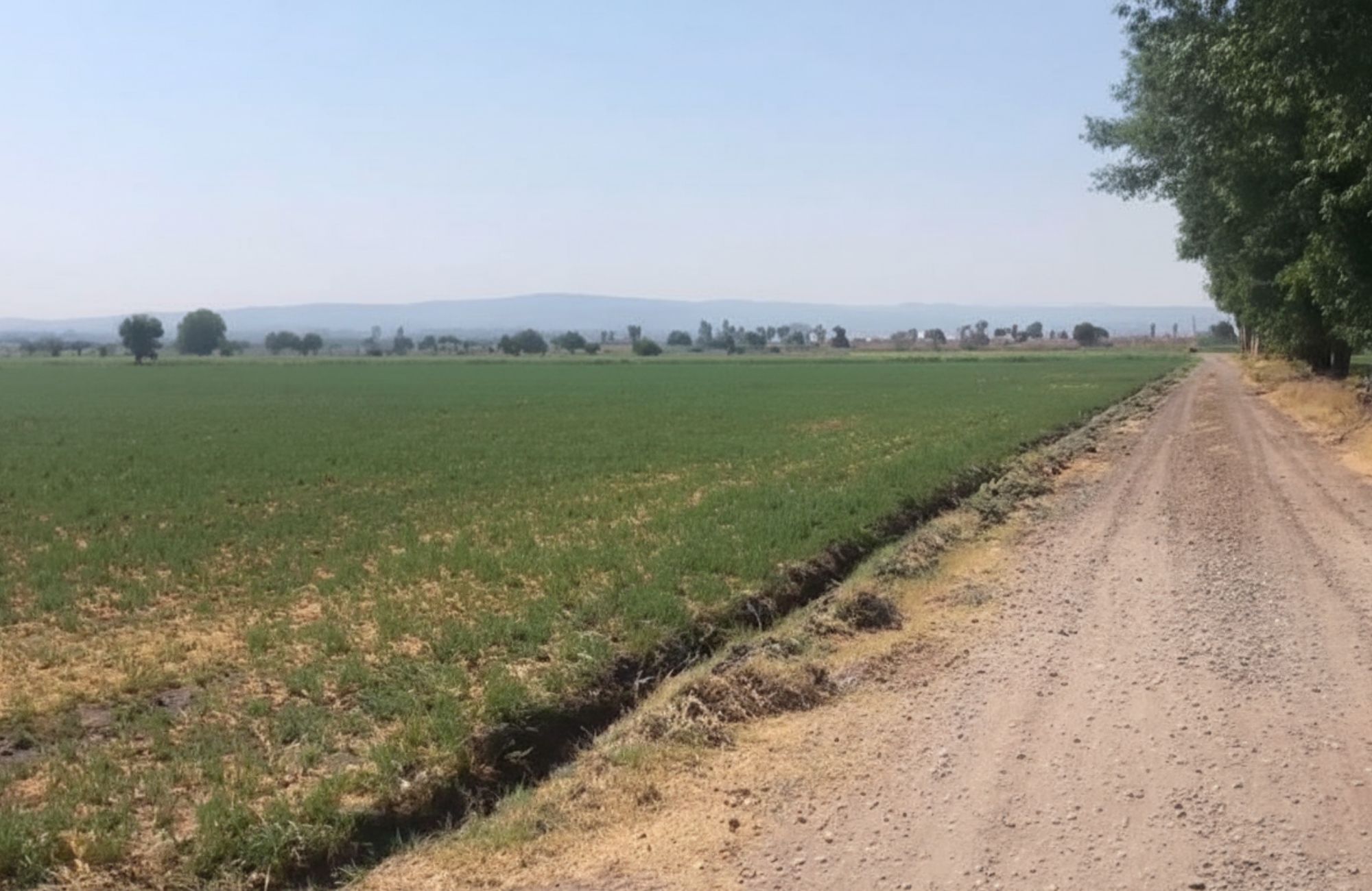 2.3 Hectares, Commercial Zoning, For Sale, Ready for Title Transfer