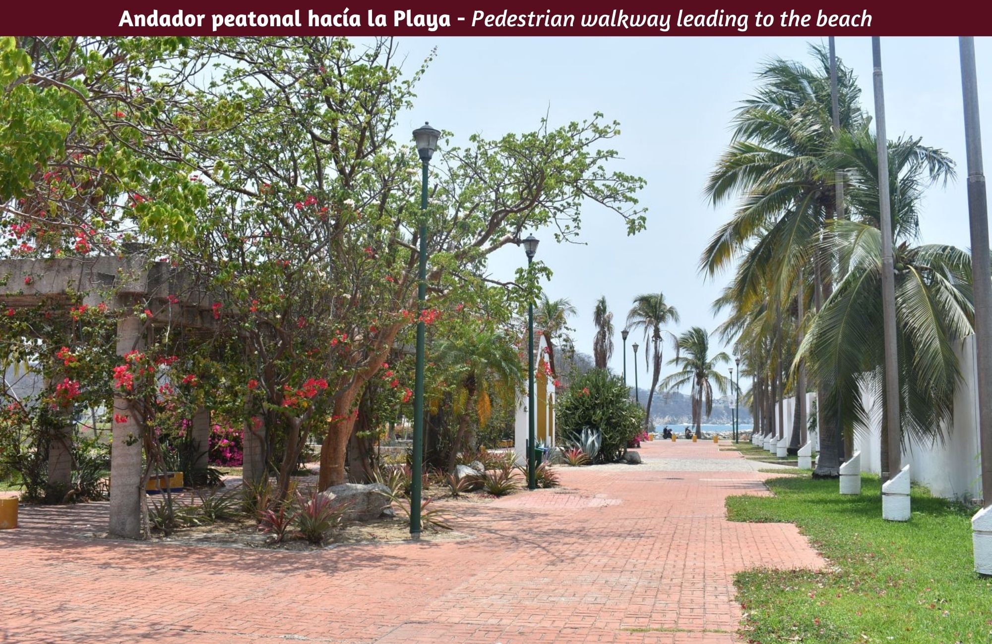 Terreno hotelero a solo 300 metros de la playa, en venta