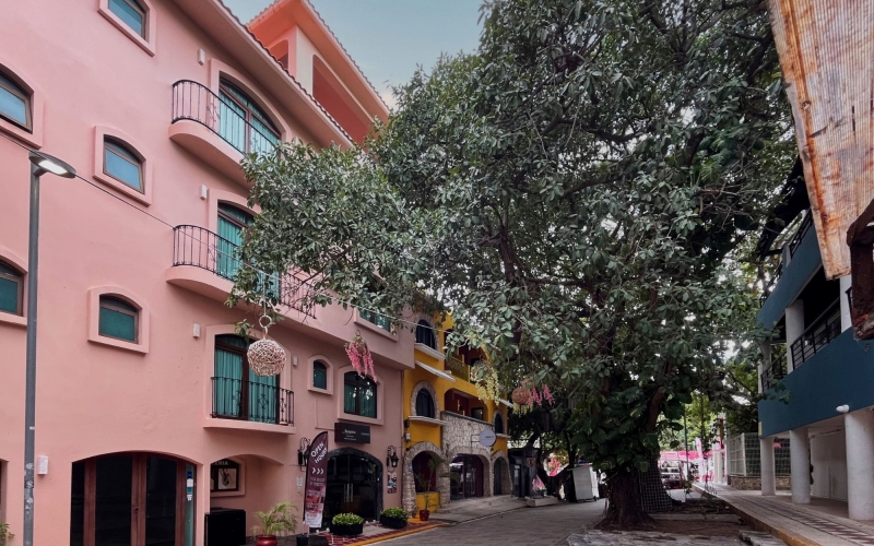 Local comercial a pasos del mar y la 5ta Av, dentro de hotel boutique, en venta&nbsp;