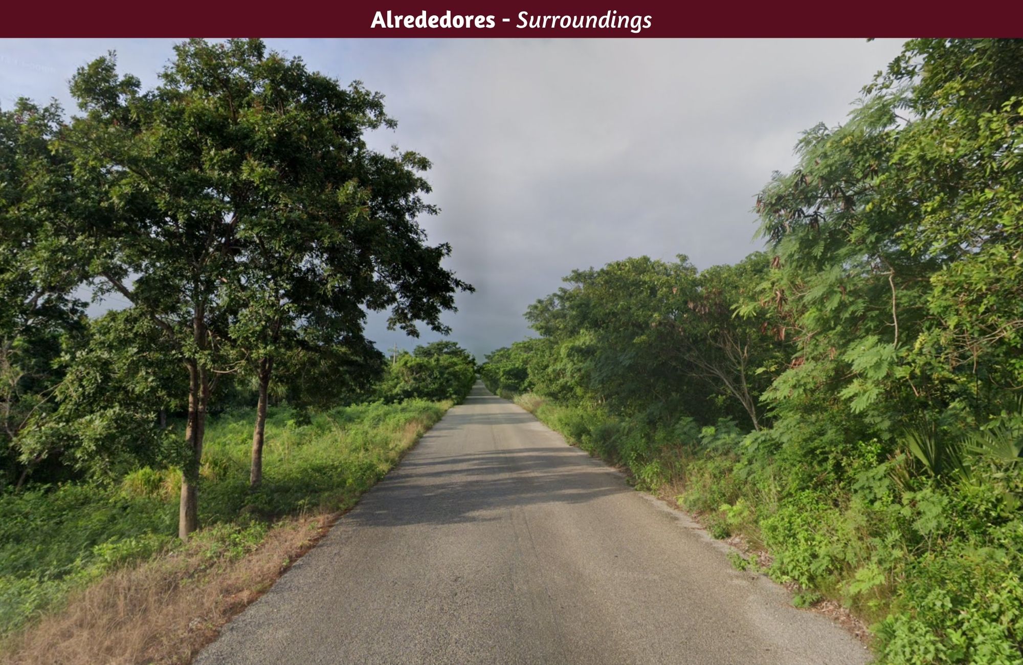 40 Hect&aacute;reas en venta, cerca del Aeropuerto Regional de Mahahual