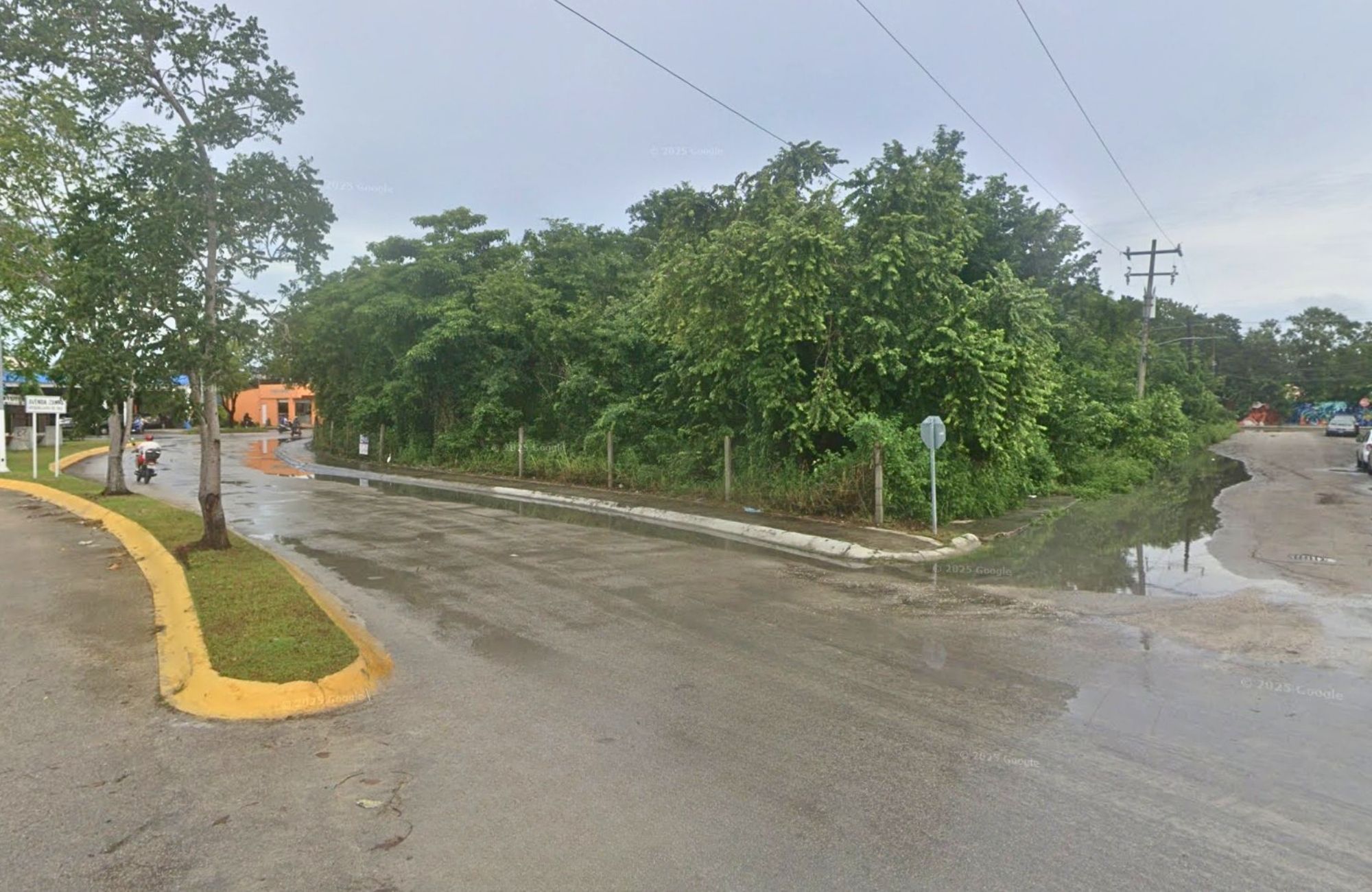 Macrolote de 1,785 m2 de uso mixto sobre Avenida 65, en venta