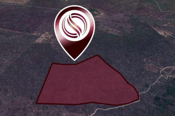 29 hect&aacute;reas en venta, en zona de crecimiento en Conkal, M&eacute;rida.