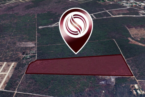 7 hect&aacute;reas en venta con excelente ubicaci&oacute;n en Conkal, M&eacute;rida.