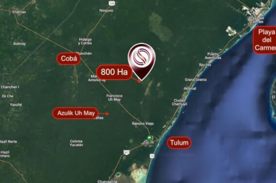 Hectares for sale in the jungle of Tulum.