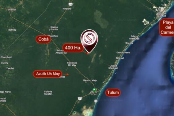 Hect&aacute;reas en venta en la selva de Tulum.