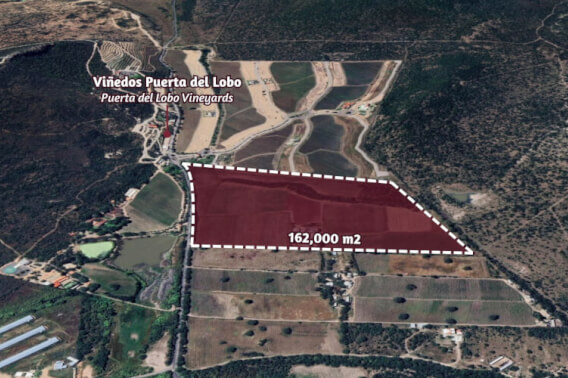 Hect&aacute;reas en venta, uso de suelo Agr&iacute;cola, cerca de vi&ntilde;edos, Quer&eacute;taro