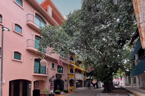 Local comercial a pasos del mar y la 5ta Av, dentro de hotel boutique, en venta&nbsp;