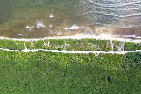 Lote frente al mar con club de playa, uso mixto alta densidad, venta, Mahahual