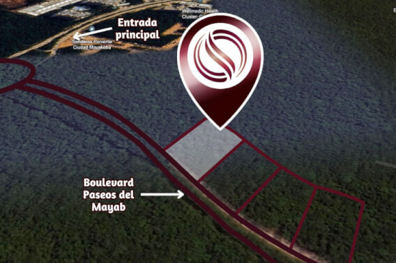 Macrolote, dentro de residencial, en venta, Ciudad Mayakoba, Playa del Carmen