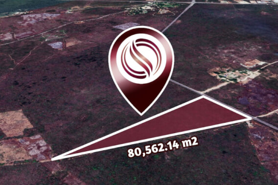 Land of 80,562 m2 for sale in Valladolid.