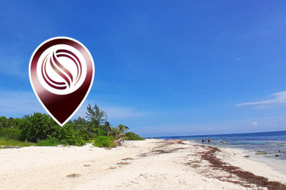 Terreno frente a la playa, uso hotelero, en venta, Punta esmeralda, Playa del Carmen.