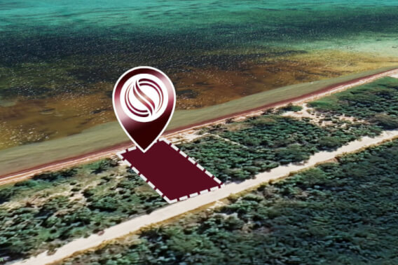 Terreno frente al mar con 25 metros de frente, en venta Mahahual