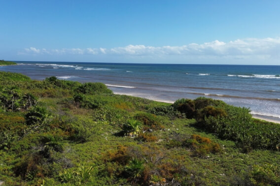 Terreno frente al mar con club de playa, uso de alta densidad, venta, Mahahual