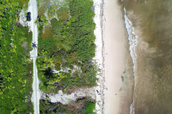 Terreno frente al mar, uso hotelero de alta densidad, en venta, Mahahual, Qroo.