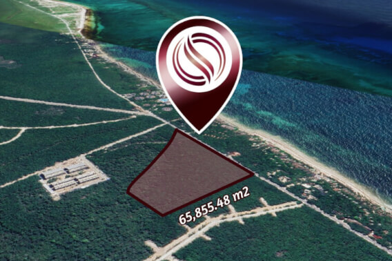 Terreno multifamiliar de 65,855 m2 a minutos del mar, en venta Aldea Zama Tulum.