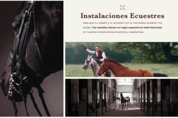 10,952 m2 lot with, heliport, lake, stables and more sale San Miguel de Allende