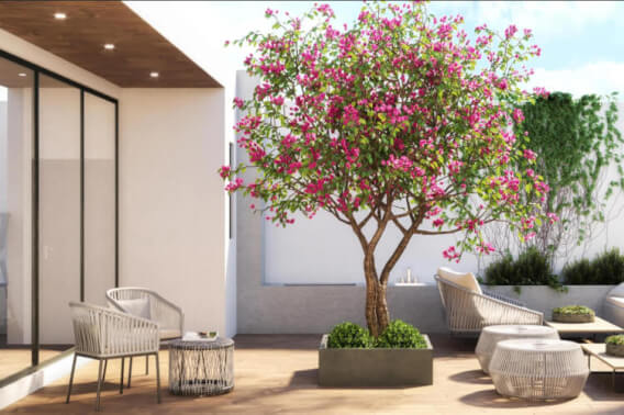 Condominium with Terrace, with maid&amp;#39;s room with bathroom, for sale, Polanco, Mexico City.