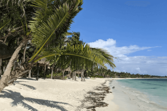 Condo with access to the beach, pool, pool bar, grills, for sale Tulum