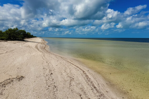 Beachfront residential land for sale, Santa Clara, Yucat&aacute;n