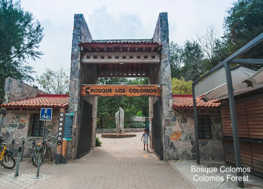 Departamento cerca del Bosque Colomos, con alberca, gimnasio, coworking, salon de eventos, pet friendly, pre-construccion en venta en Provid