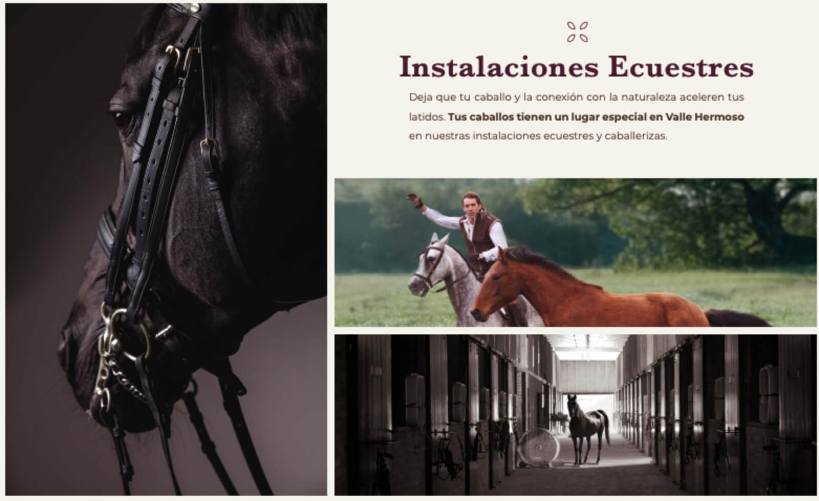 2,588 m2 lot in luxury community with amenities, for sale San Miguel de Allende.