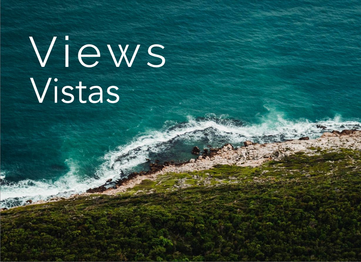 Ocean view land, beach club, amenities for sale, El Tejon, Huatulco