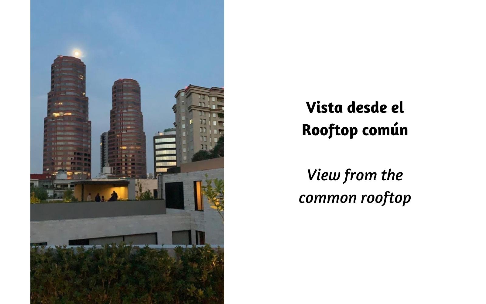 Apartment with terrace, pool, central park, pet park, sale Polanco CDMX.