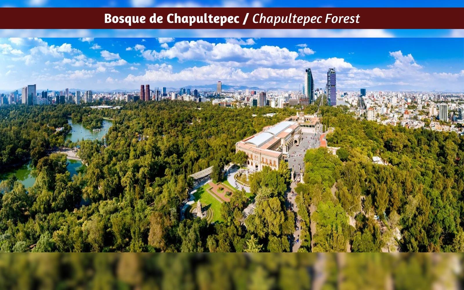 Departamento de lujo con terraza y vista al bosque de Chapultepec, altura de 3.10 metros, helipuerto, bar y restaurante, spa, gimnasio, serv