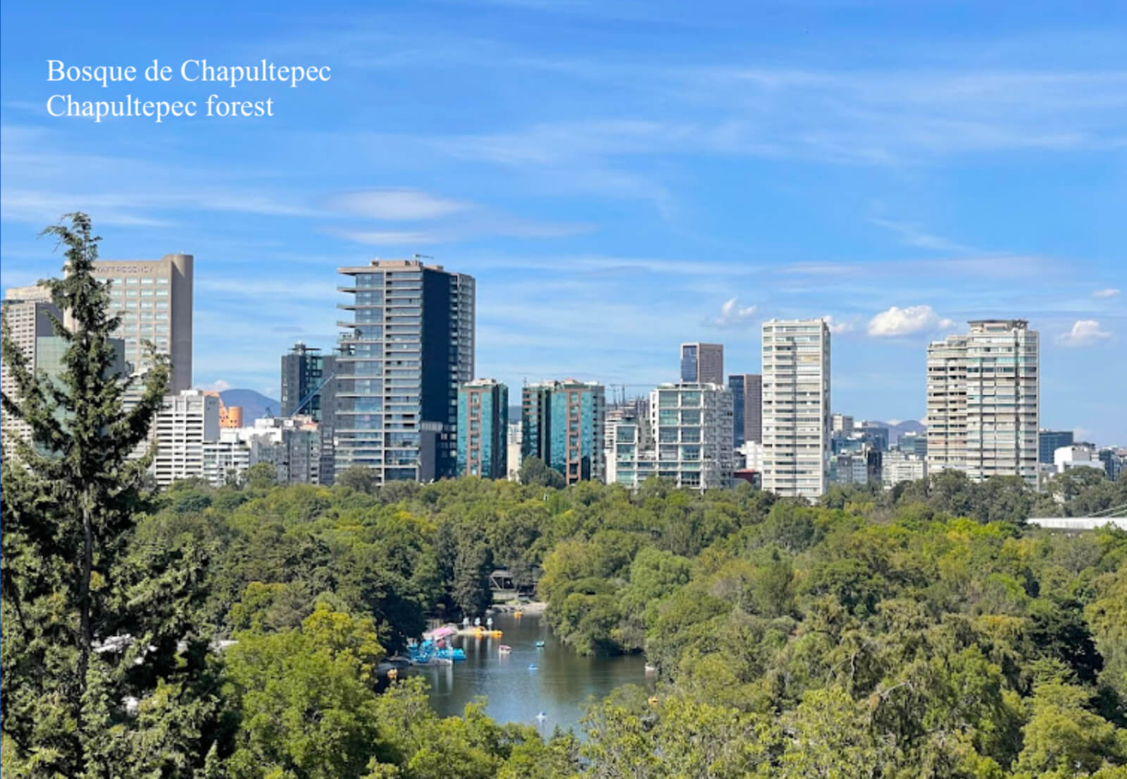 Luxury apartment with terrace and view of the Chapultepec forest, height of 3.10 meters, heliport, bar and restaurant, spa, gym, room servic