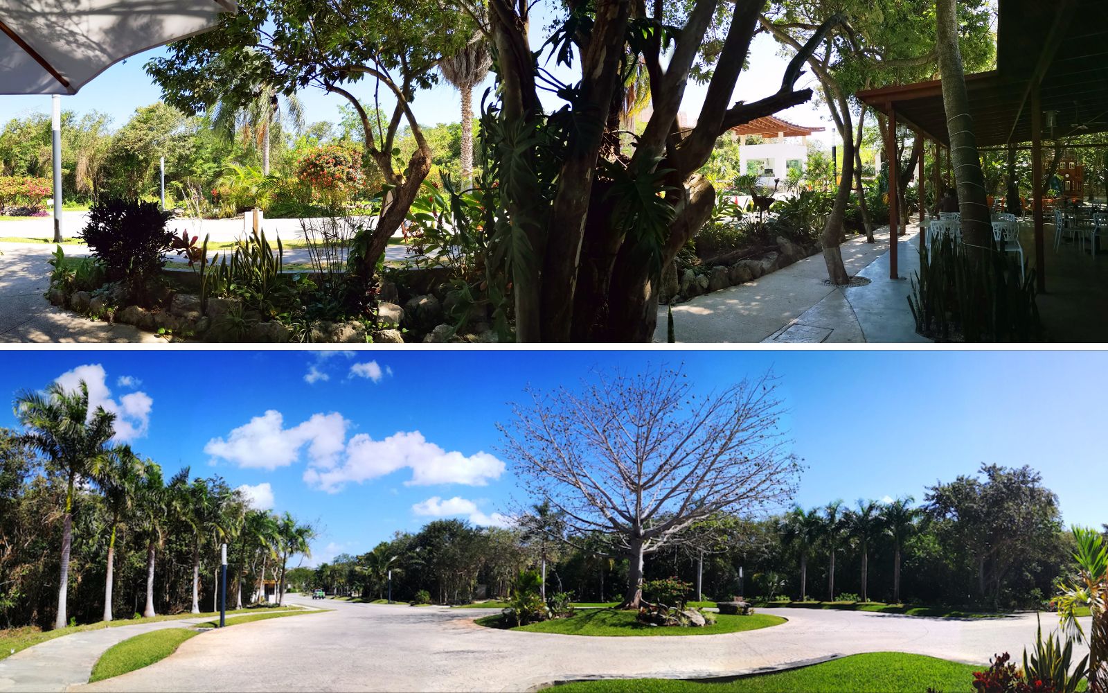 636 m2 lot, in gated community with private cenote, for sale Playa del Carmen.