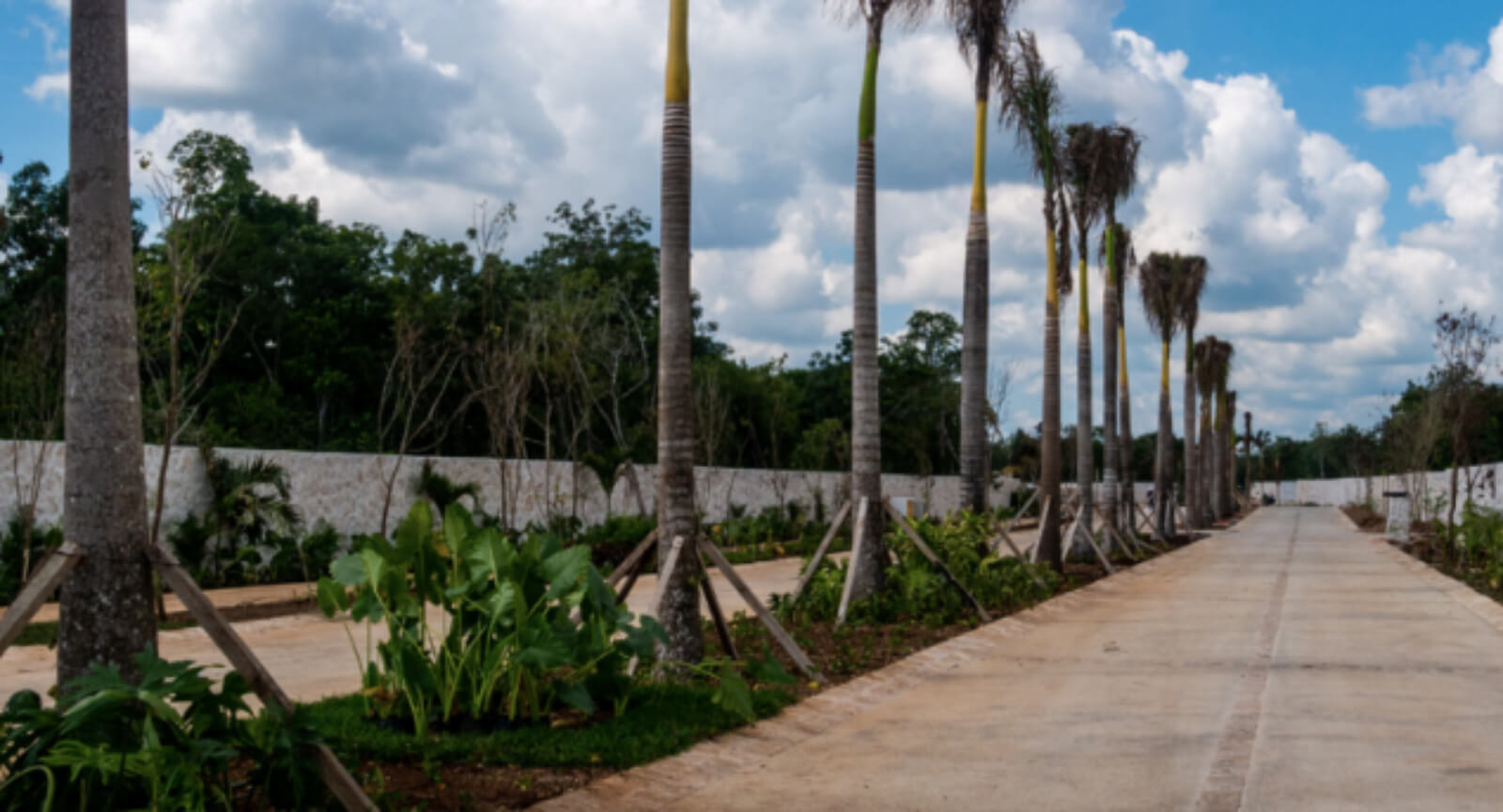 Lot in gated community with clubhouse, game room, pet park, and more for sale in Cancun