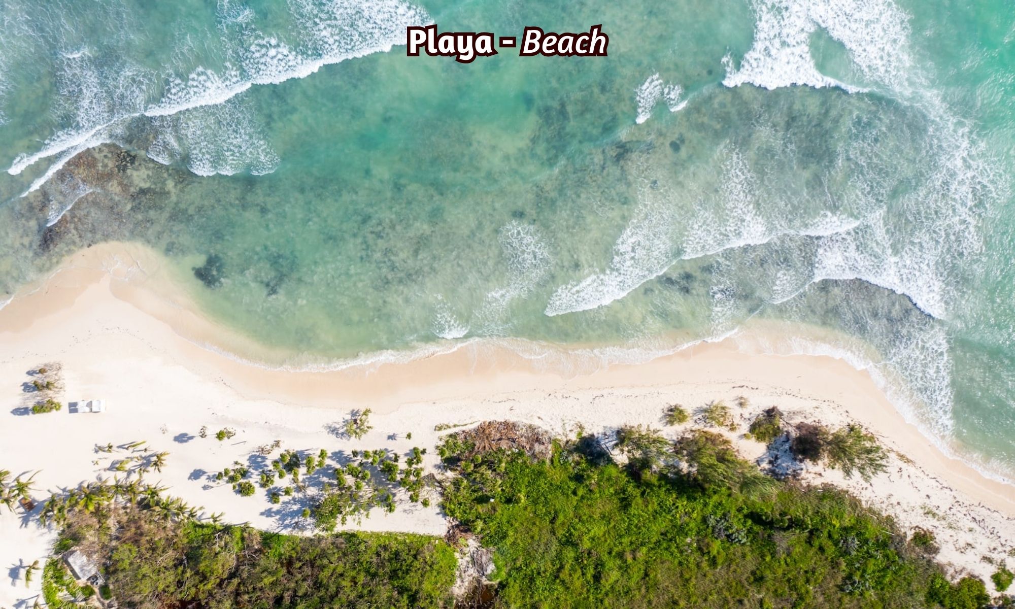 Departamento de 1 recamara amueblado a pasos de la Quinta Avenida 550 metros de playa Mamita’s en venta Pura Playa, Playa del Carmen