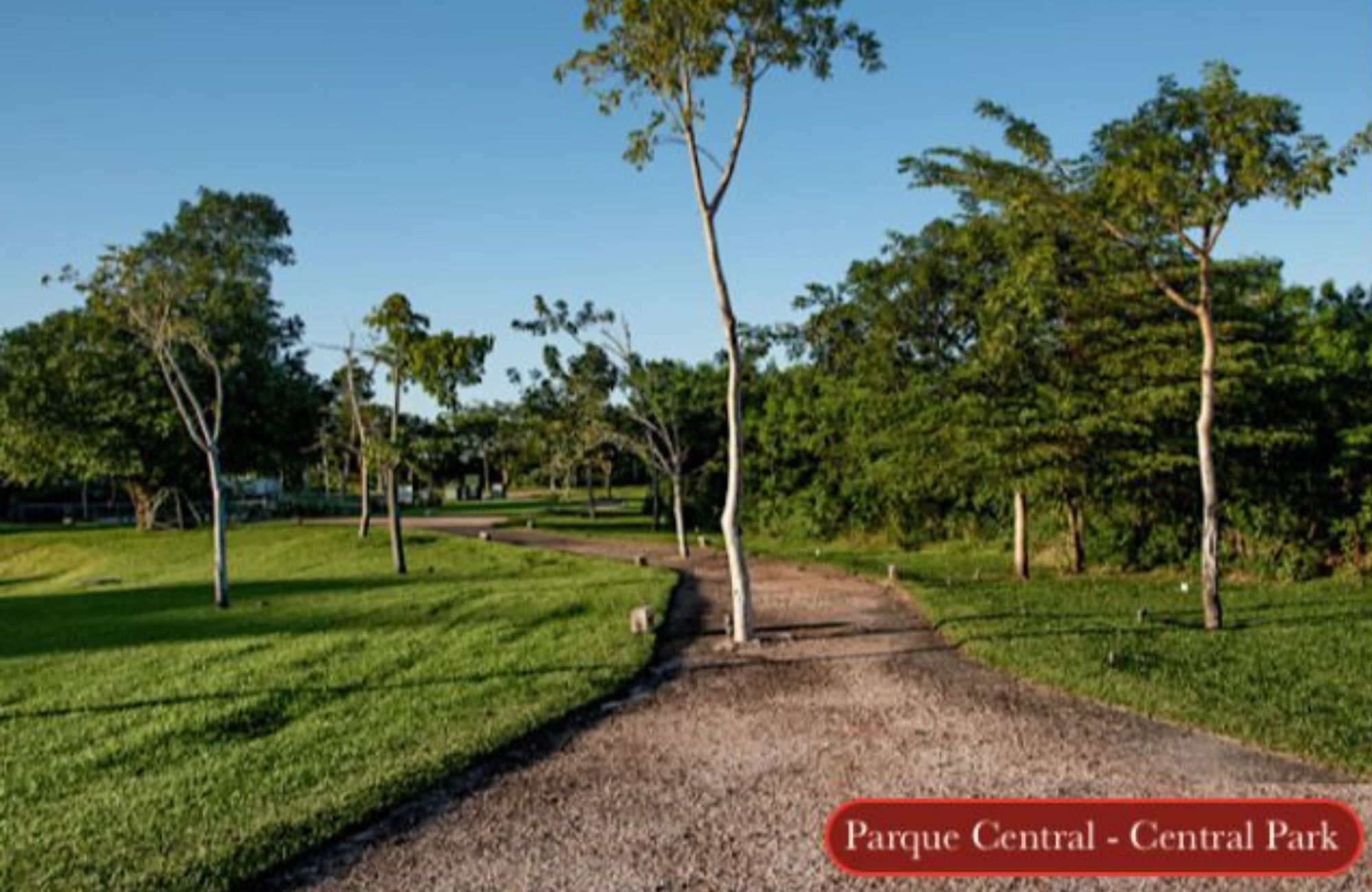 Penthouse sustentable, alberca, pet-frienfly, areas verdes, pre-venta Mérida.