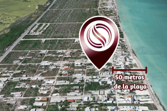 Penthouse with ocean view, two floors, terrace, 50 meters from the sea, in pre-sale Yucatan